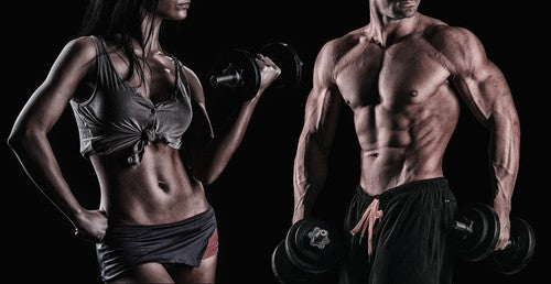 Le meilleur programme de musculation