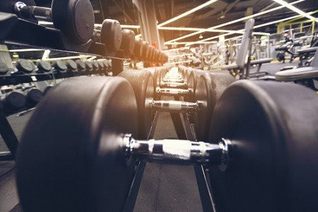 Musculation : poids libres ou machines ?