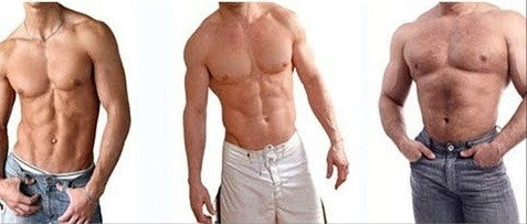 L’entraînement en musculation selon votre morphotype