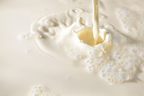 Qu'est-ce que la whey native ?
