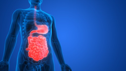 Comment améliorer sa digestion?