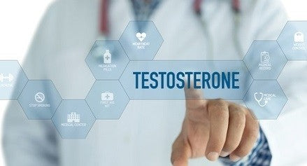 Qu'est-ce que la testostérone?