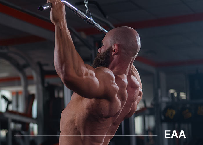 EAA