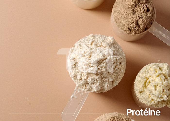 Doses de protéine en poudre pour shaker