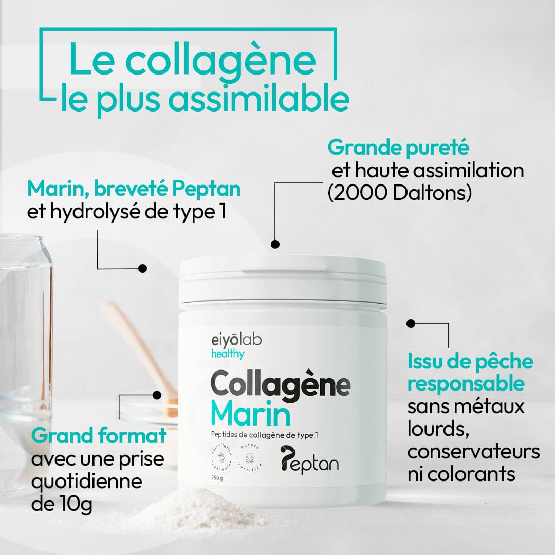 Collagène marin en poudre