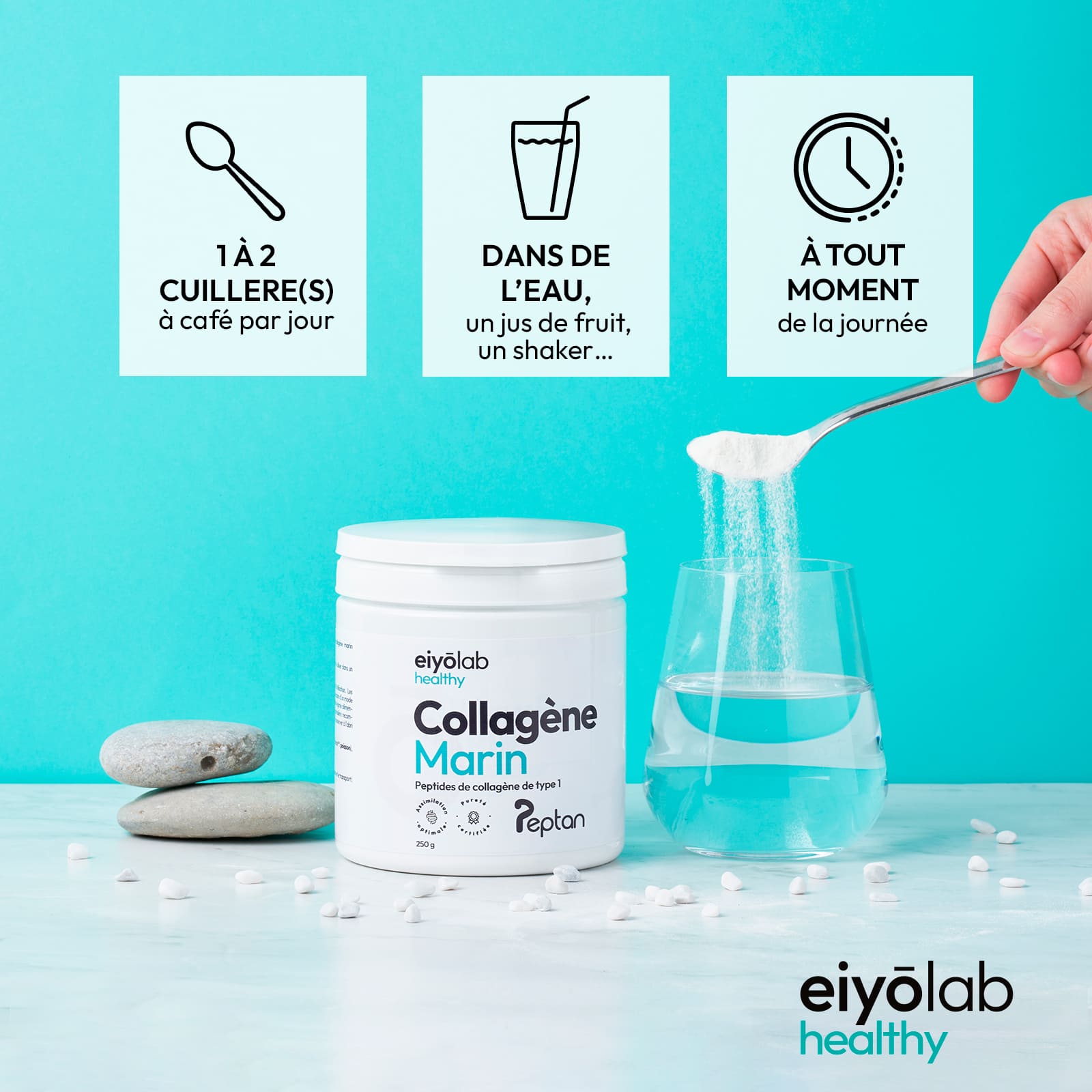 Collagène marin en poudre