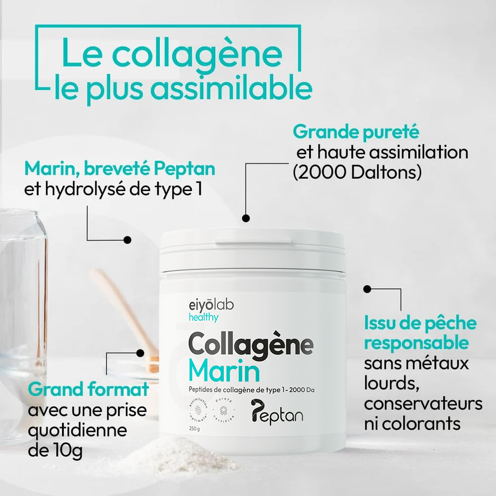 Collagène marin en poudre