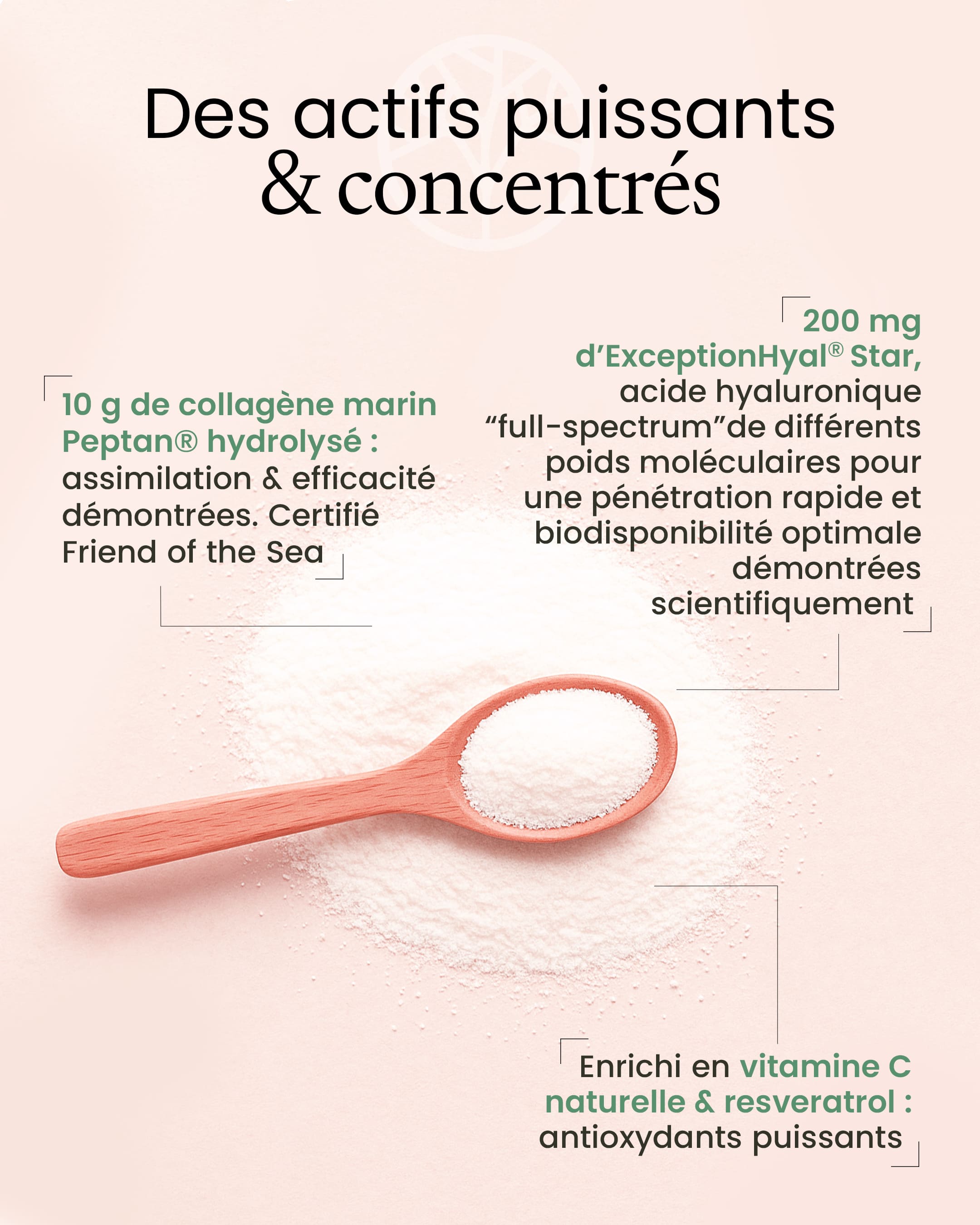 Complexe collagène & acide hyaluronique