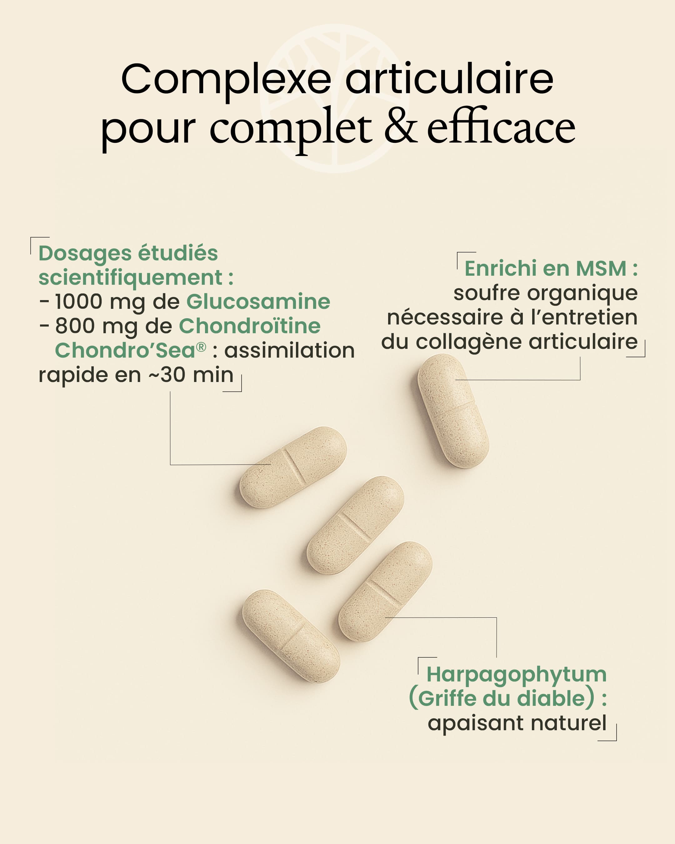 Glucosamine Chondroïtine