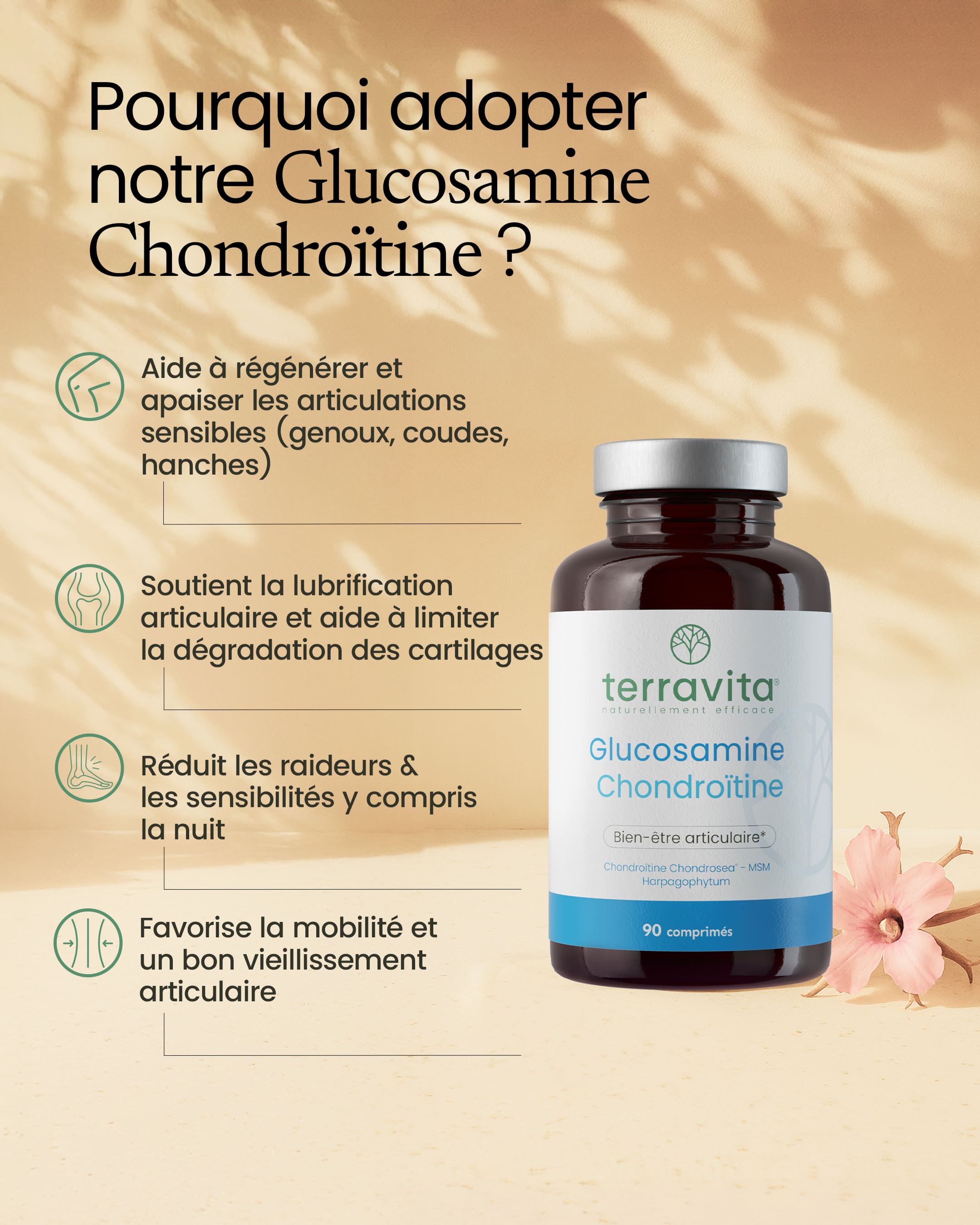 Glucosamine Chondroïtine