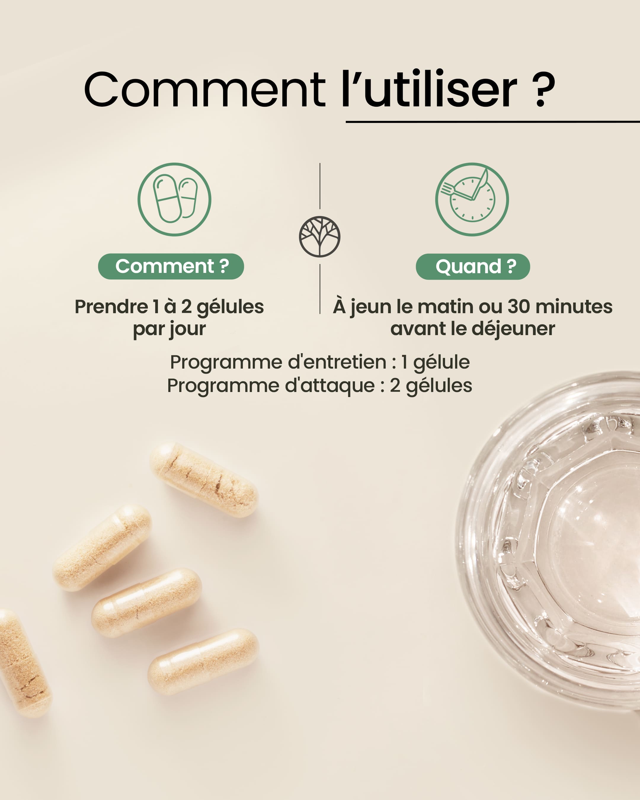 Probiotiques 8 souches