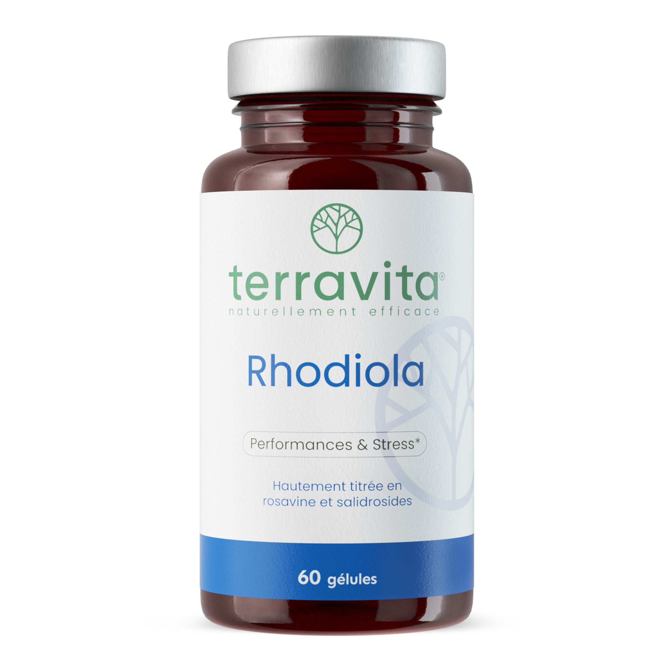 Rhodiola