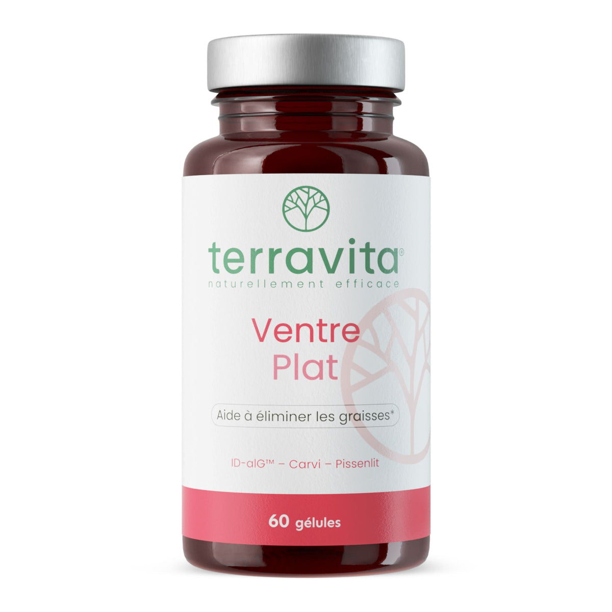 Ventre plat gélule Terravita — free download