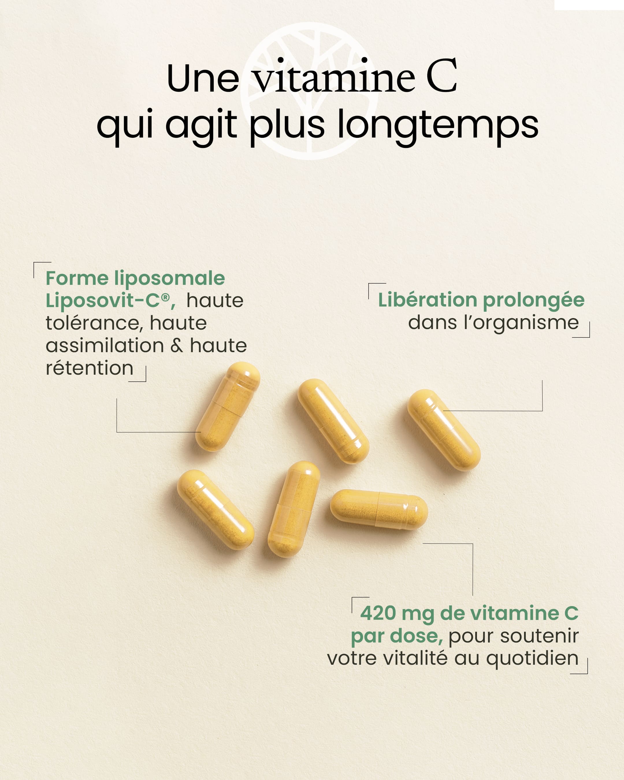 Vitamine C liposomale