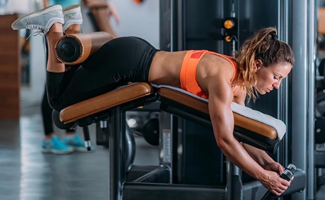 Qu'est-ce que le leg curl ?