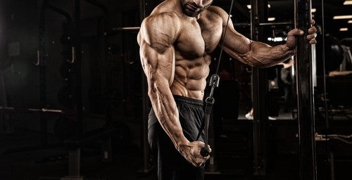 Tout ce que vous devez savoir sur l'hypertrophie musculaire