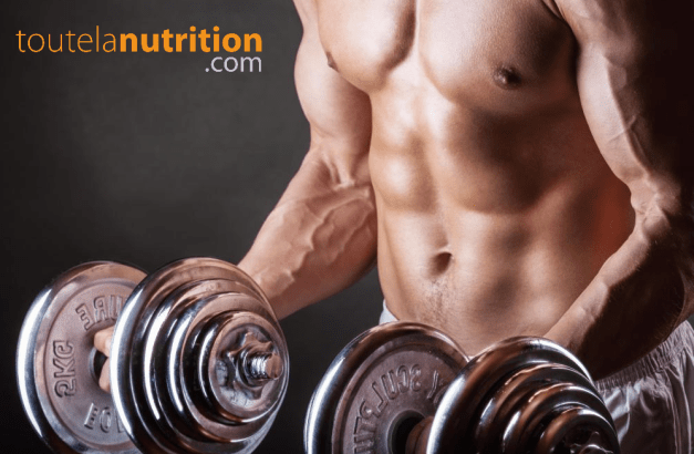 Effet de la créatine : à quoi sert-elle ?