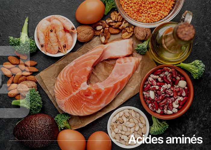 Acides aminés