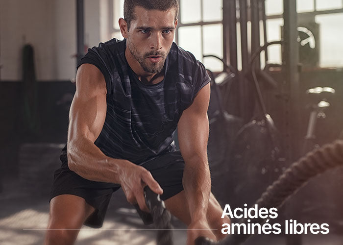 Acides aminés libres