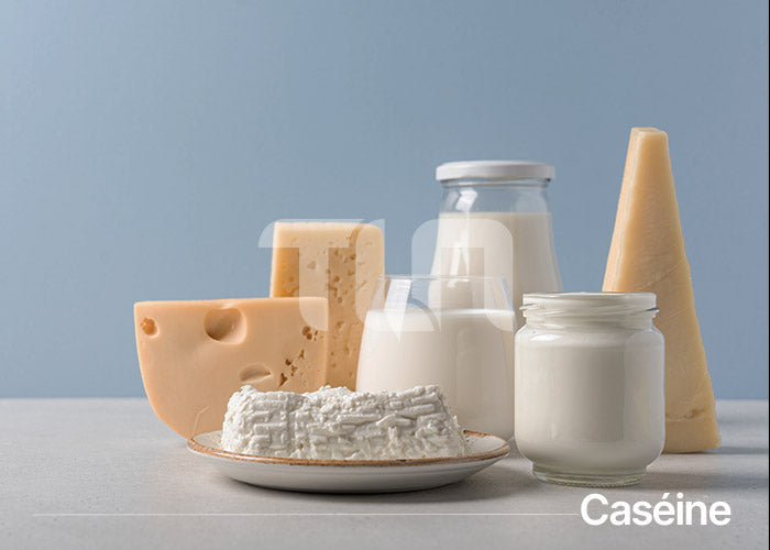 Caséine