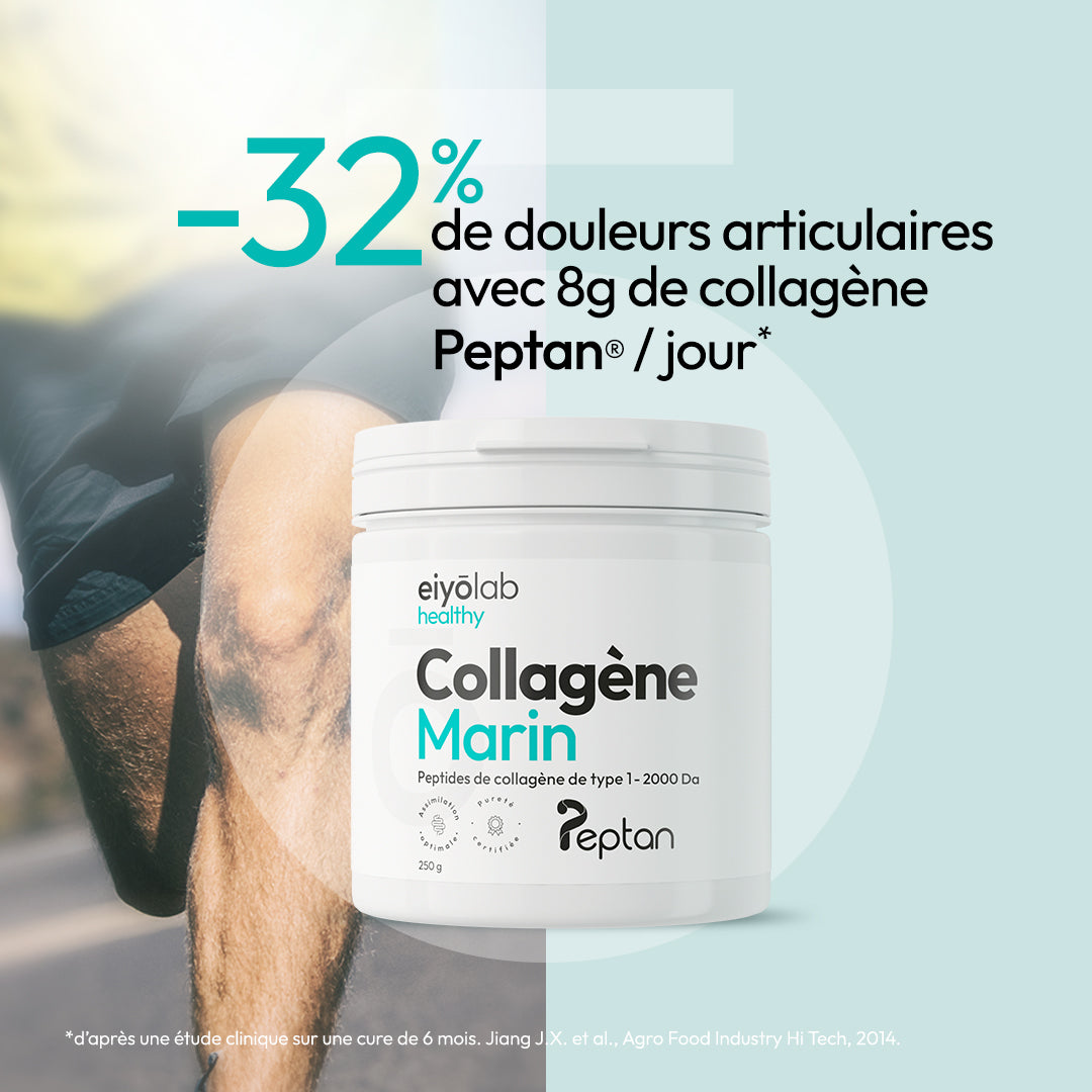Collagène marin en poudre