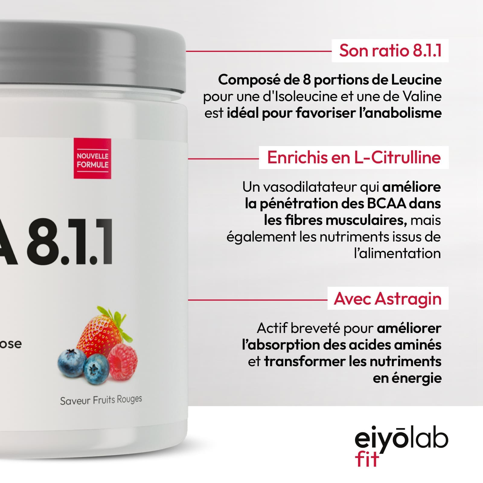 BCAA 8.1.1 HT Poudre