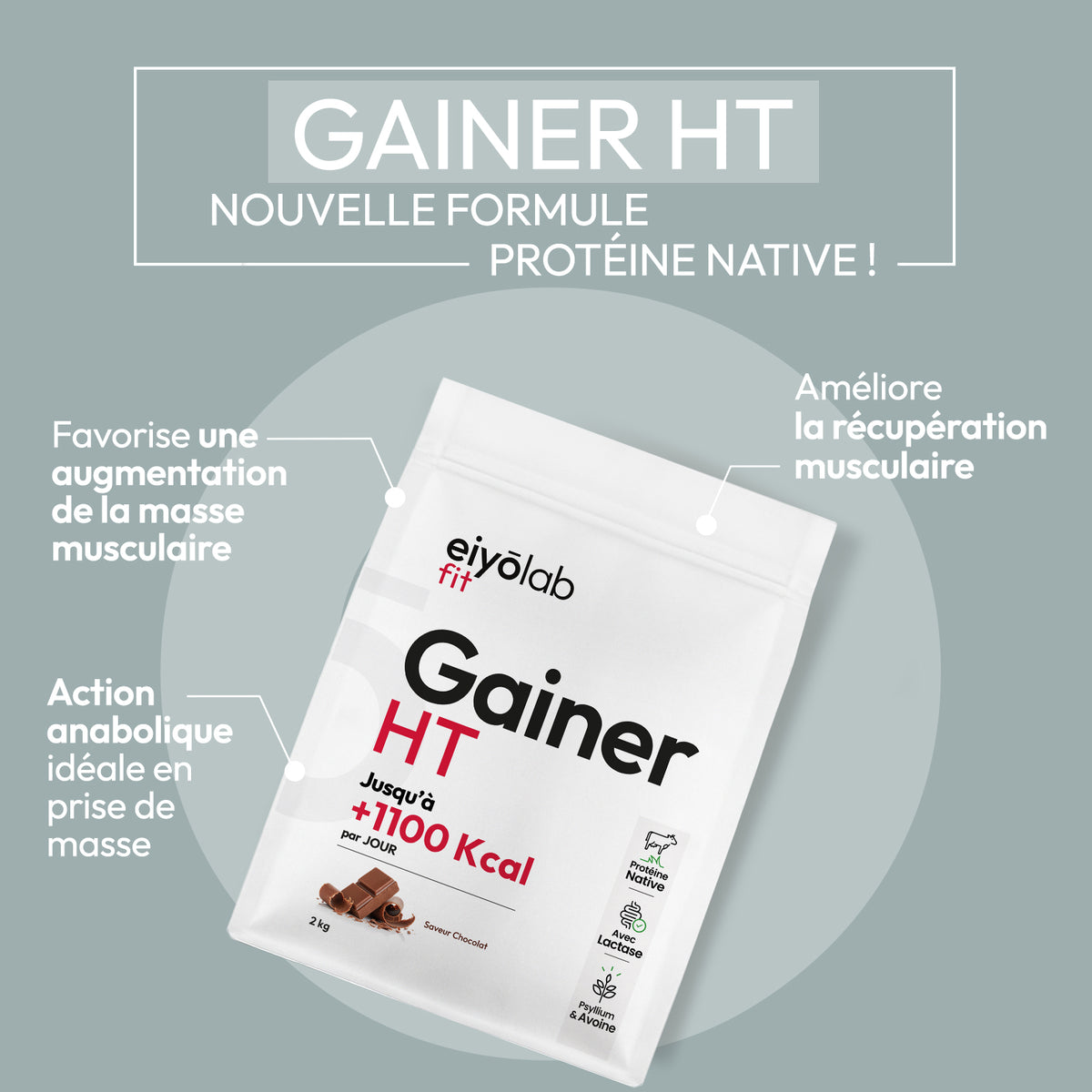 Gainer HT