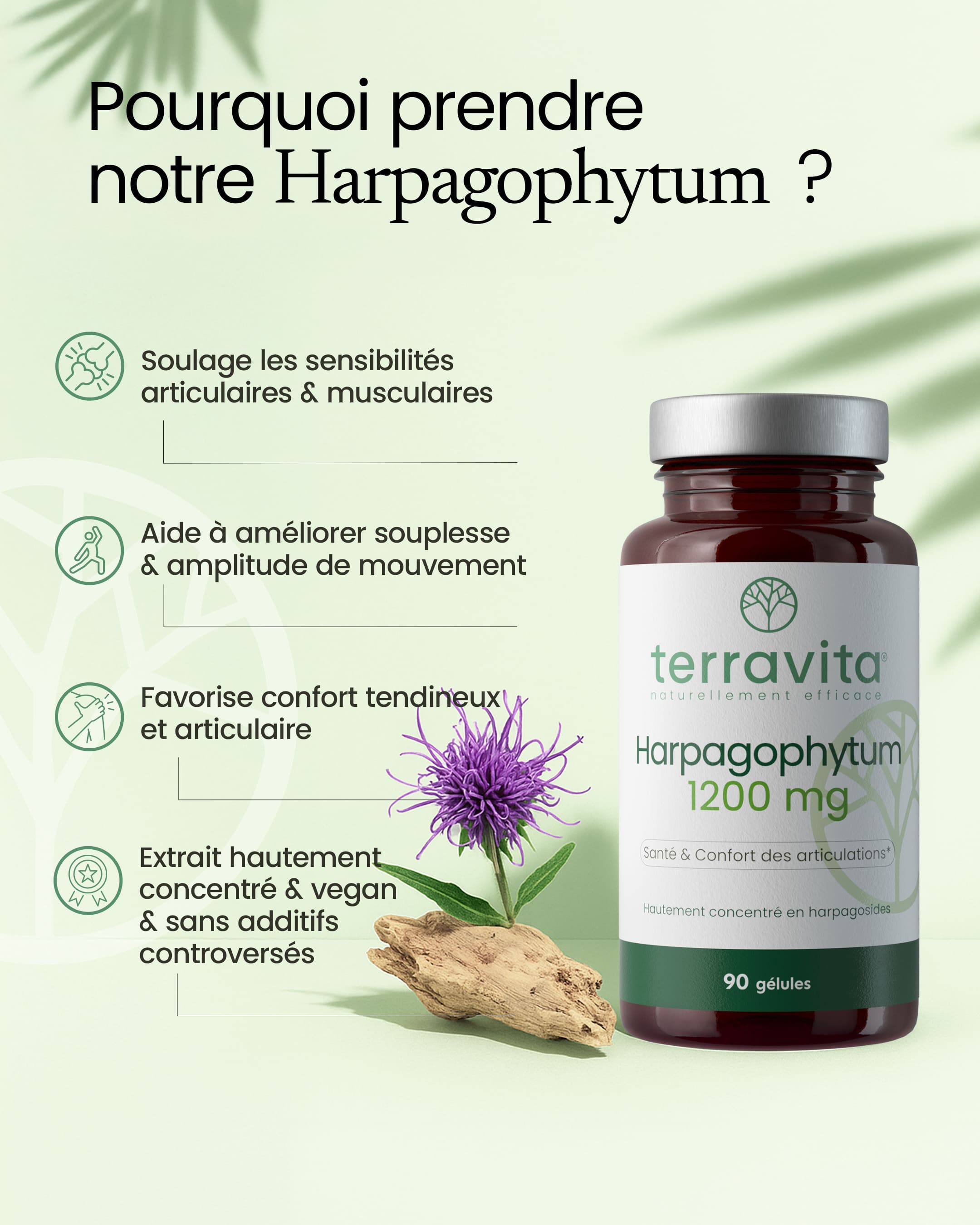 Harpagophytum 1200 Mg