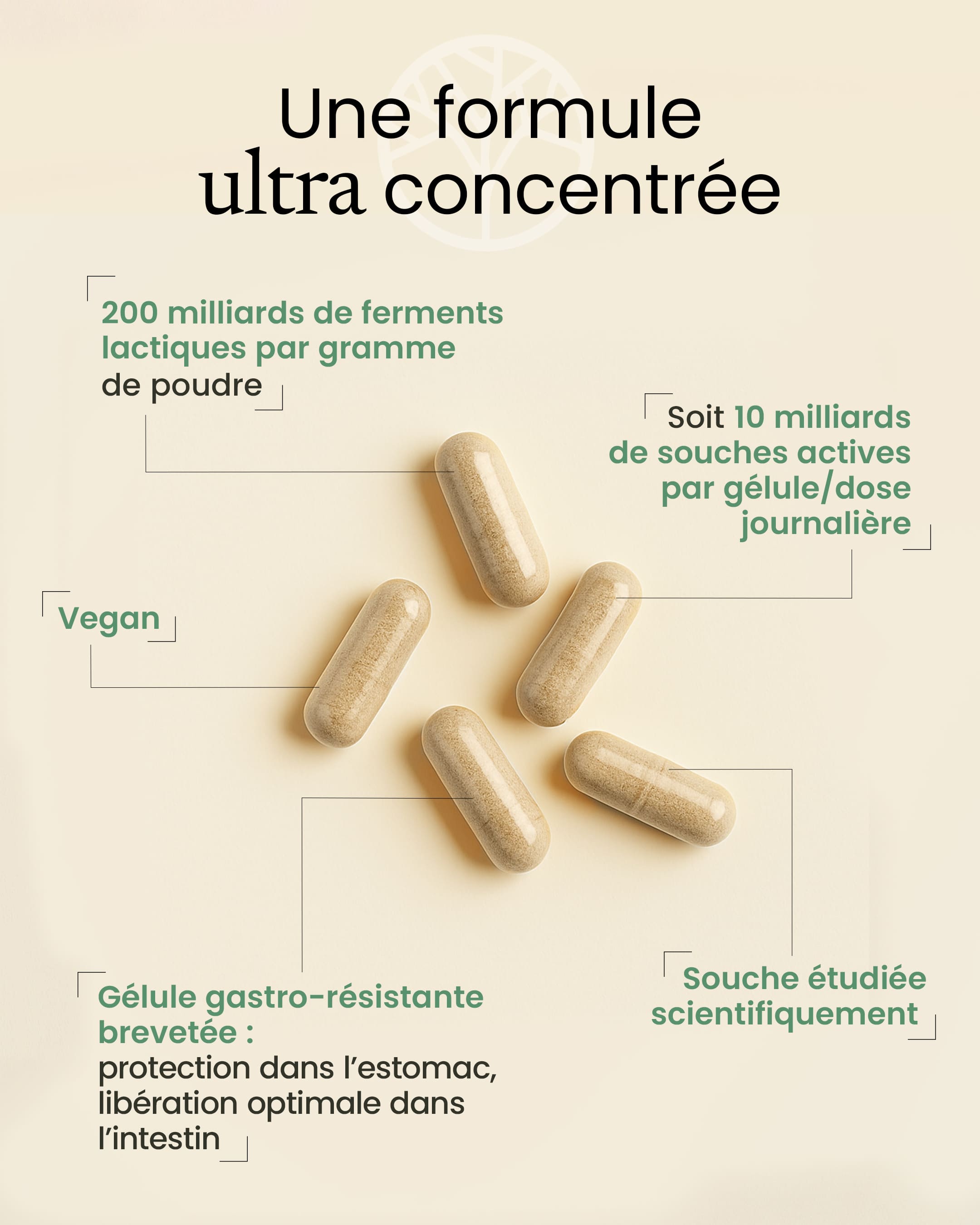 Lactobacillus gasseri 200 milliards