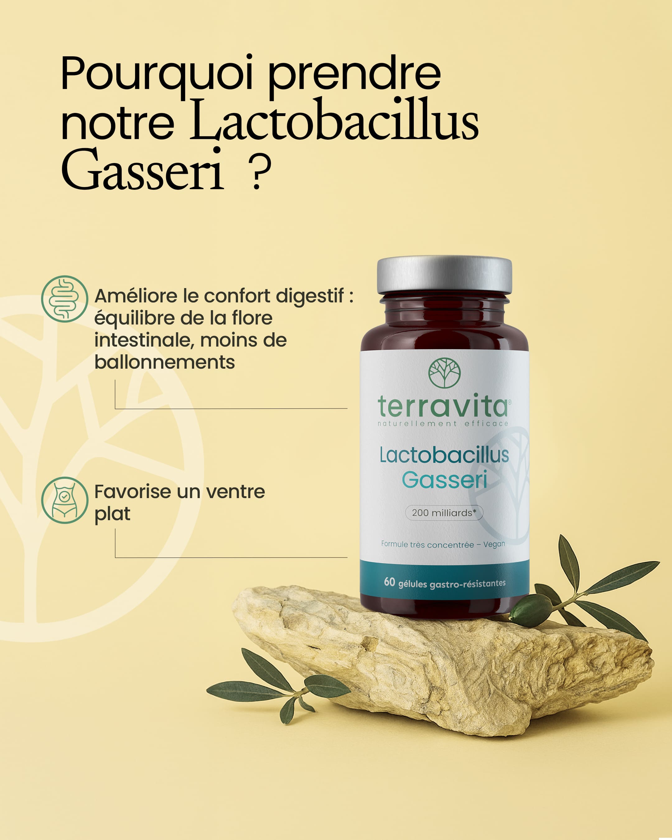 Lactobacillus gasseri 200 milliards