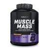 Muscle Mass