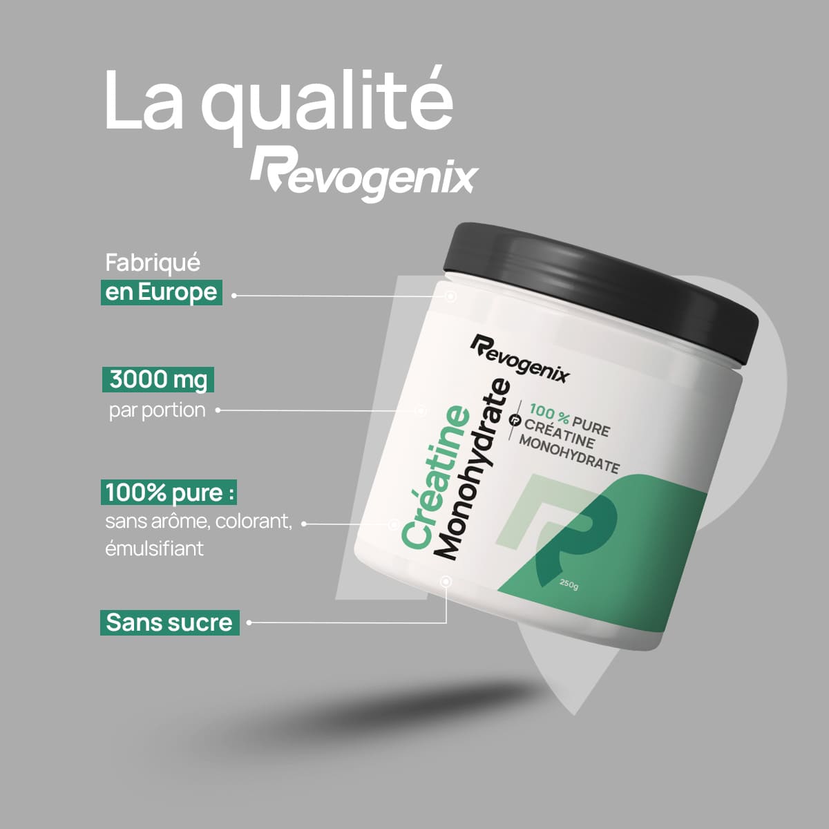 Créatine Monohydrate 250g