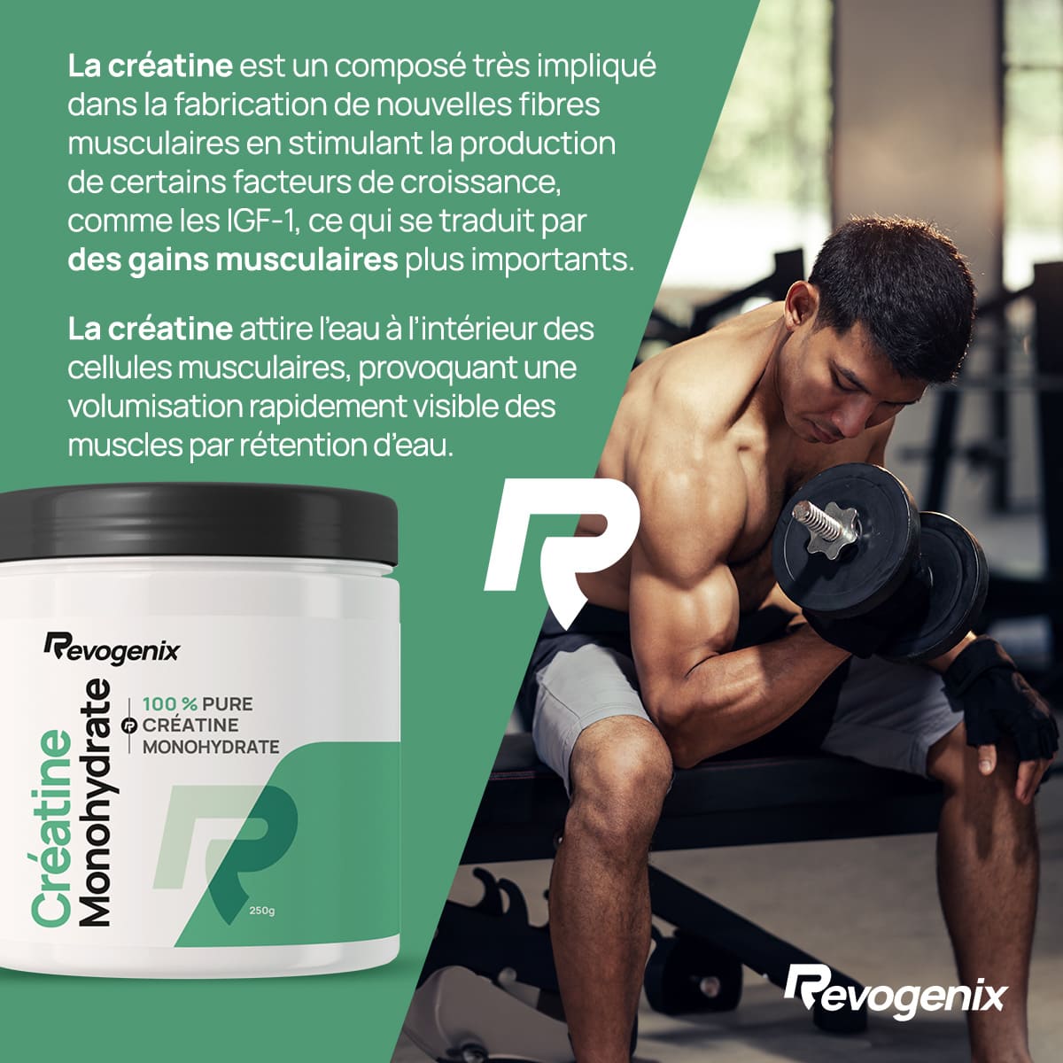 Créatine Monohydrate 250g