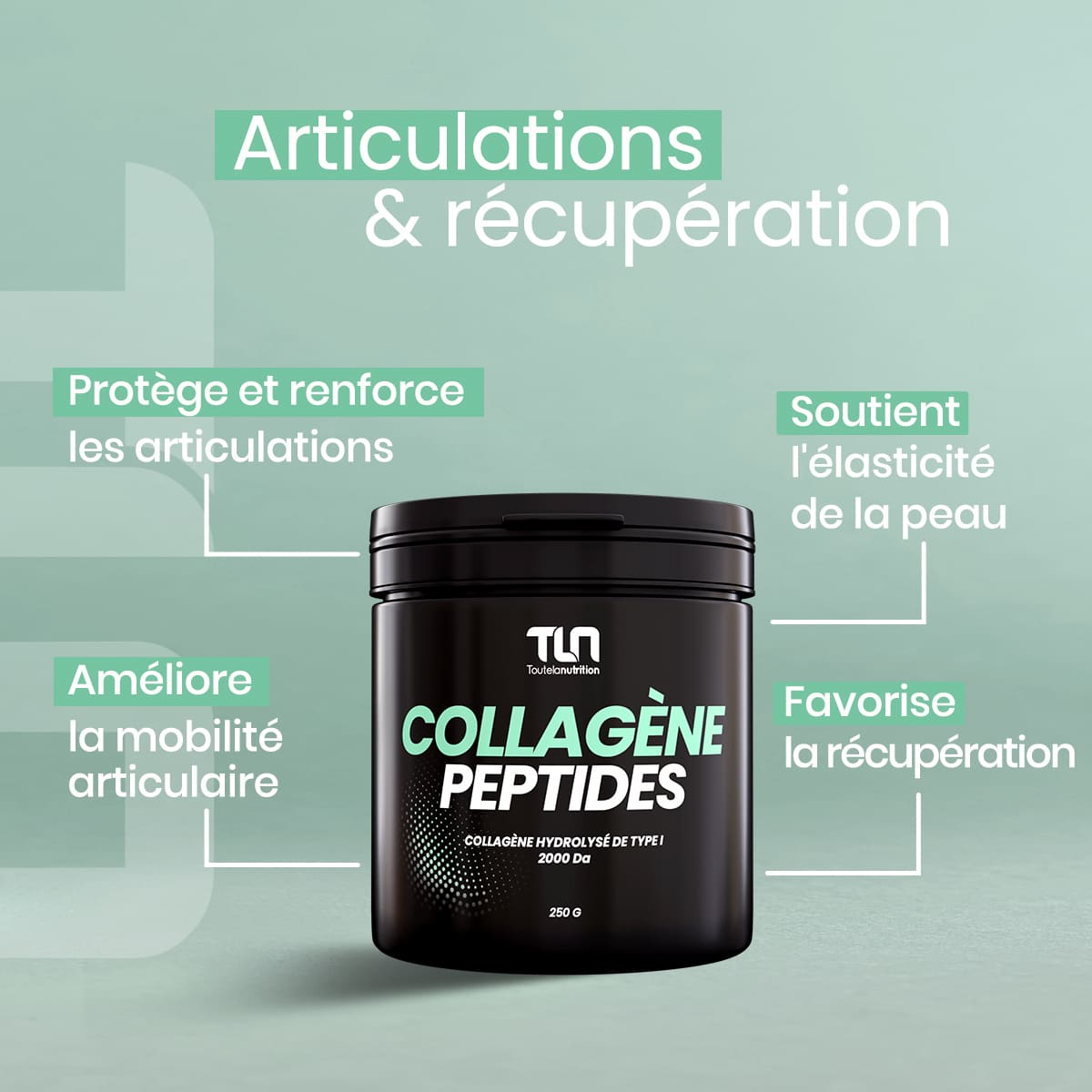 Collagène Peptides - Peptan®