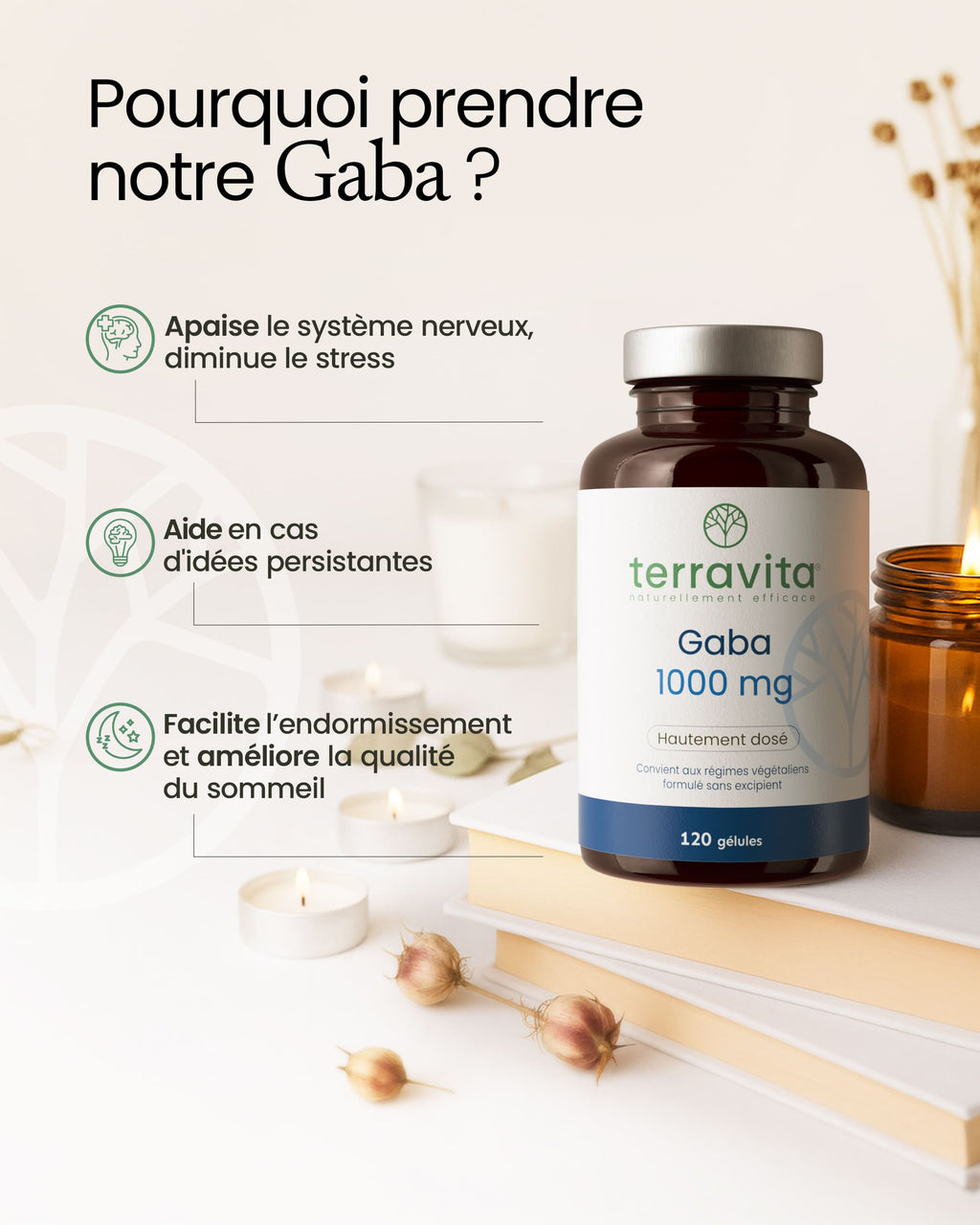Primaforce Gaba GABA 1000mg par dose en gélule Terravita
