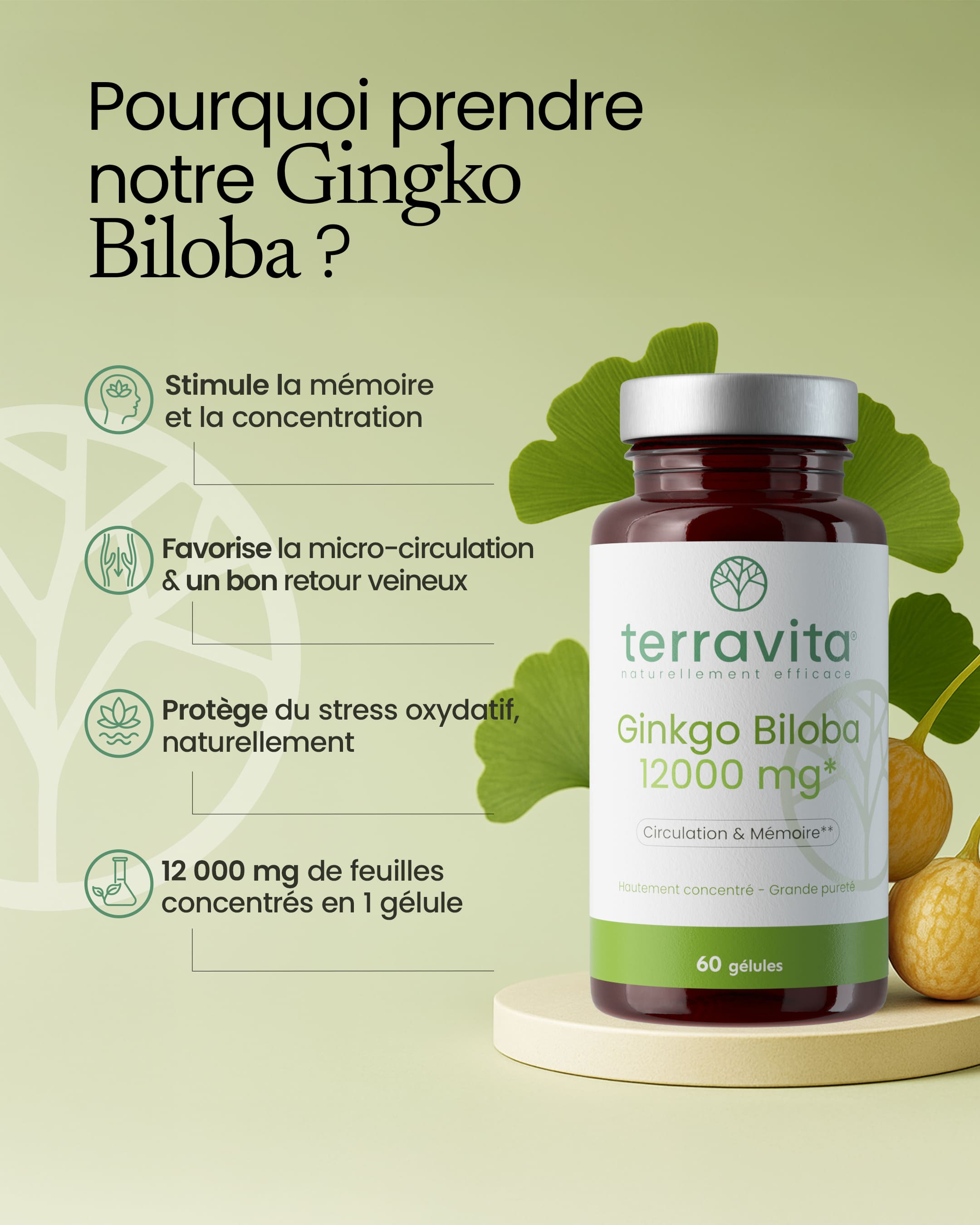 Ginkgo biloba 12000mg