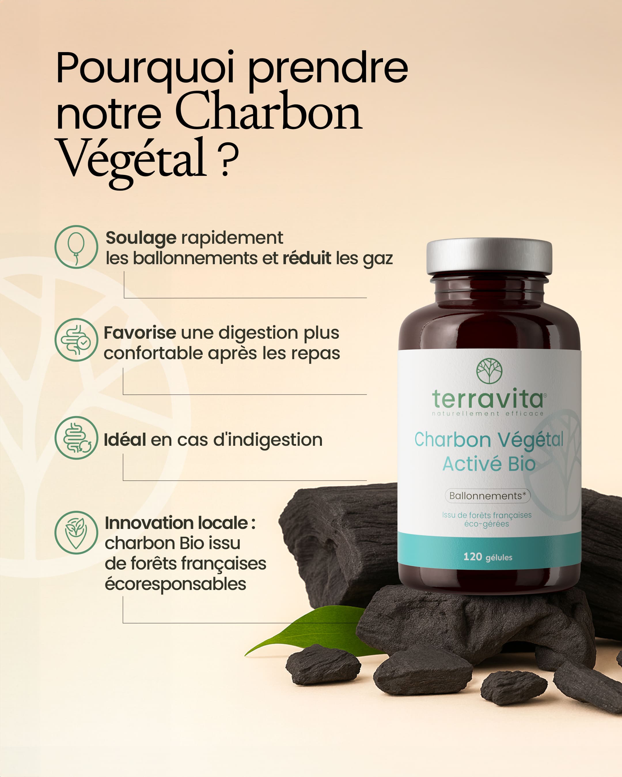 Charbon végétal activé bio