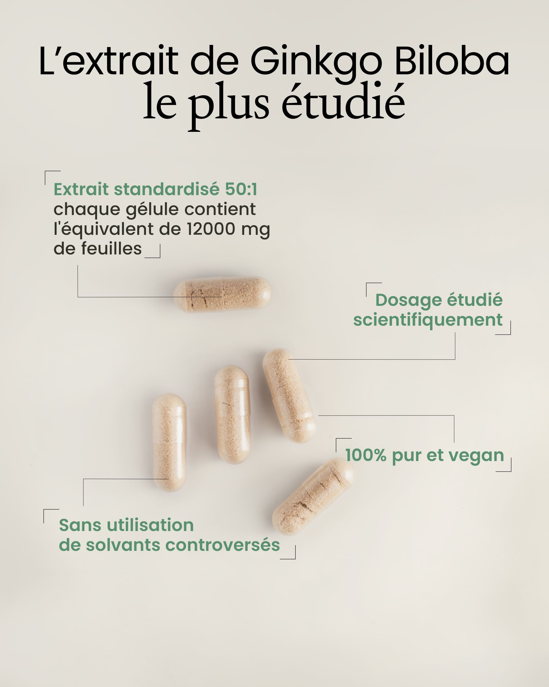 Ginkgo biloba 12000mg