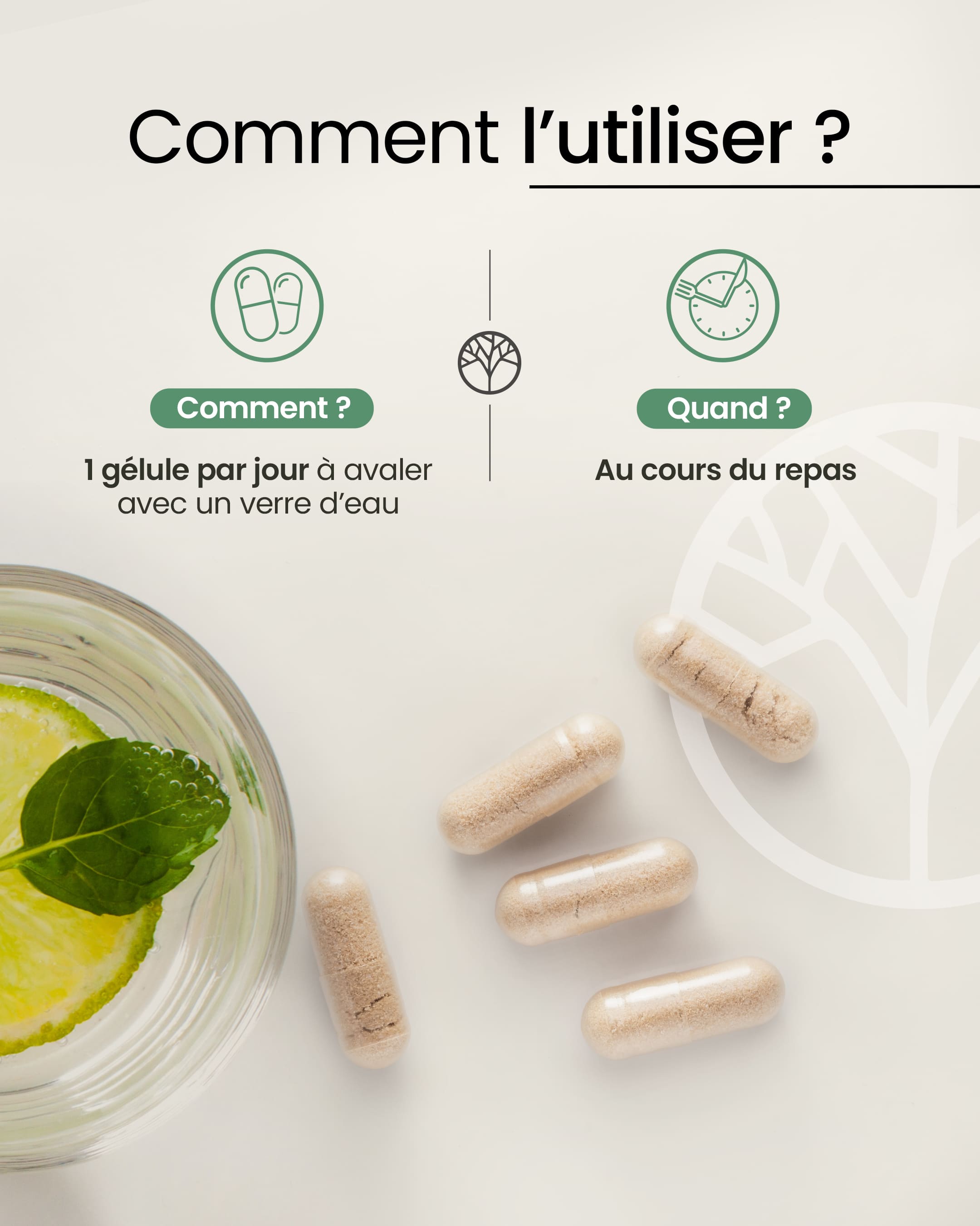 Ginkgo biloba 12000mg