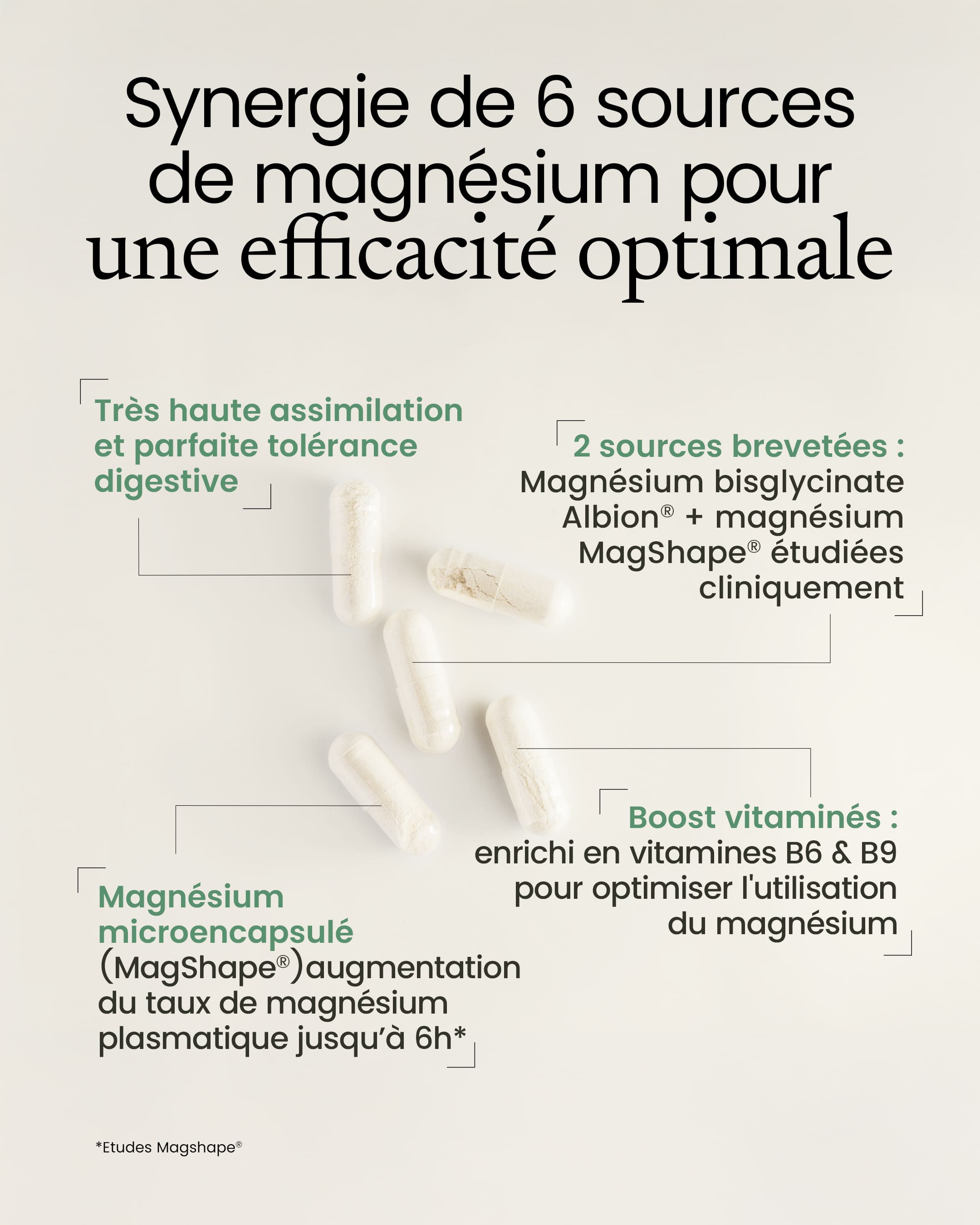 Magnésium 6 sources