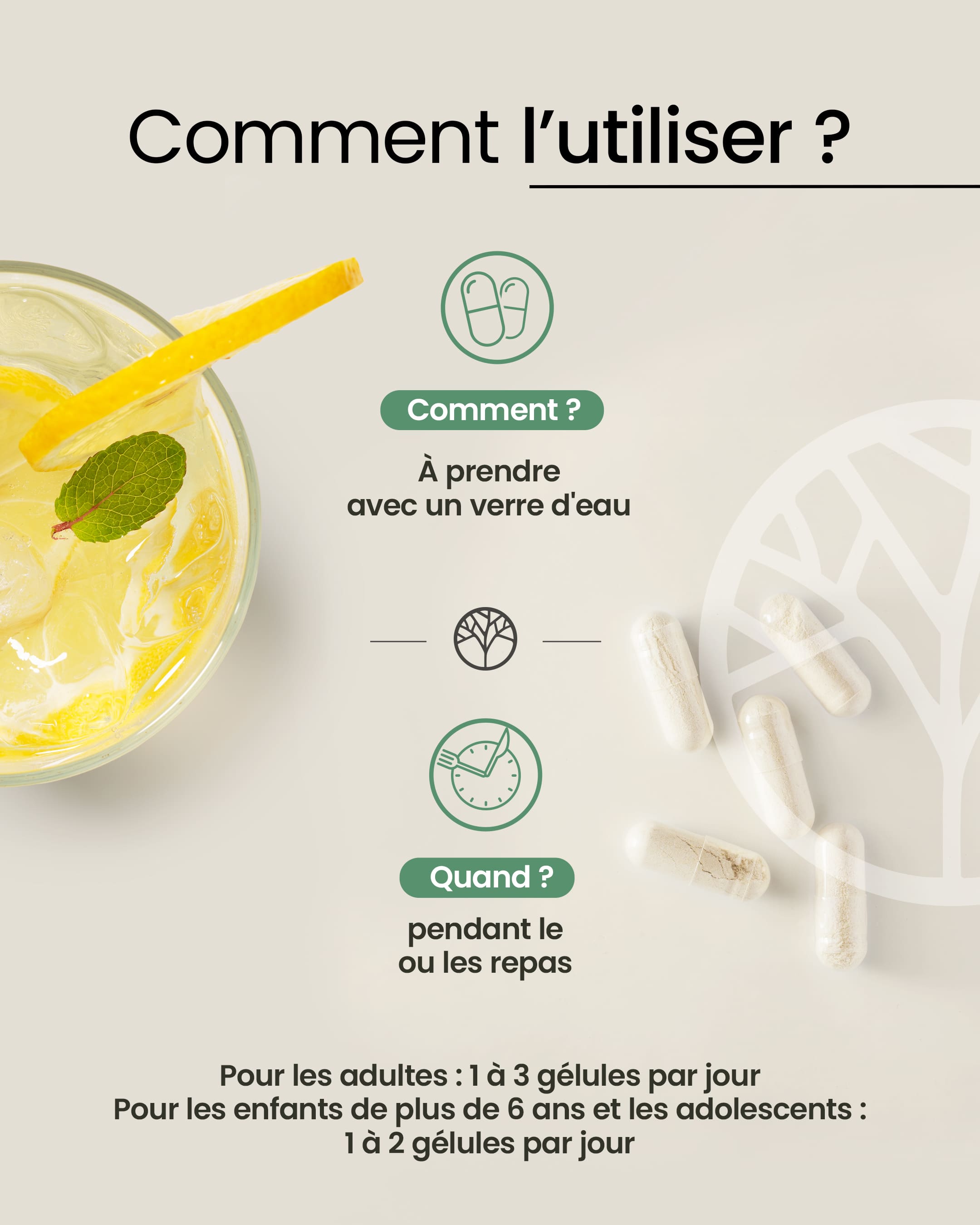 Magnésium 6 sources