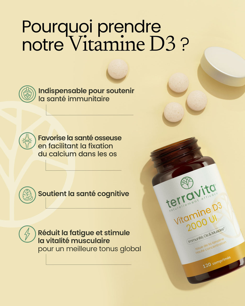 Vitamine D3 gélule Terravita — free download