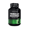 Tribulus Maximus