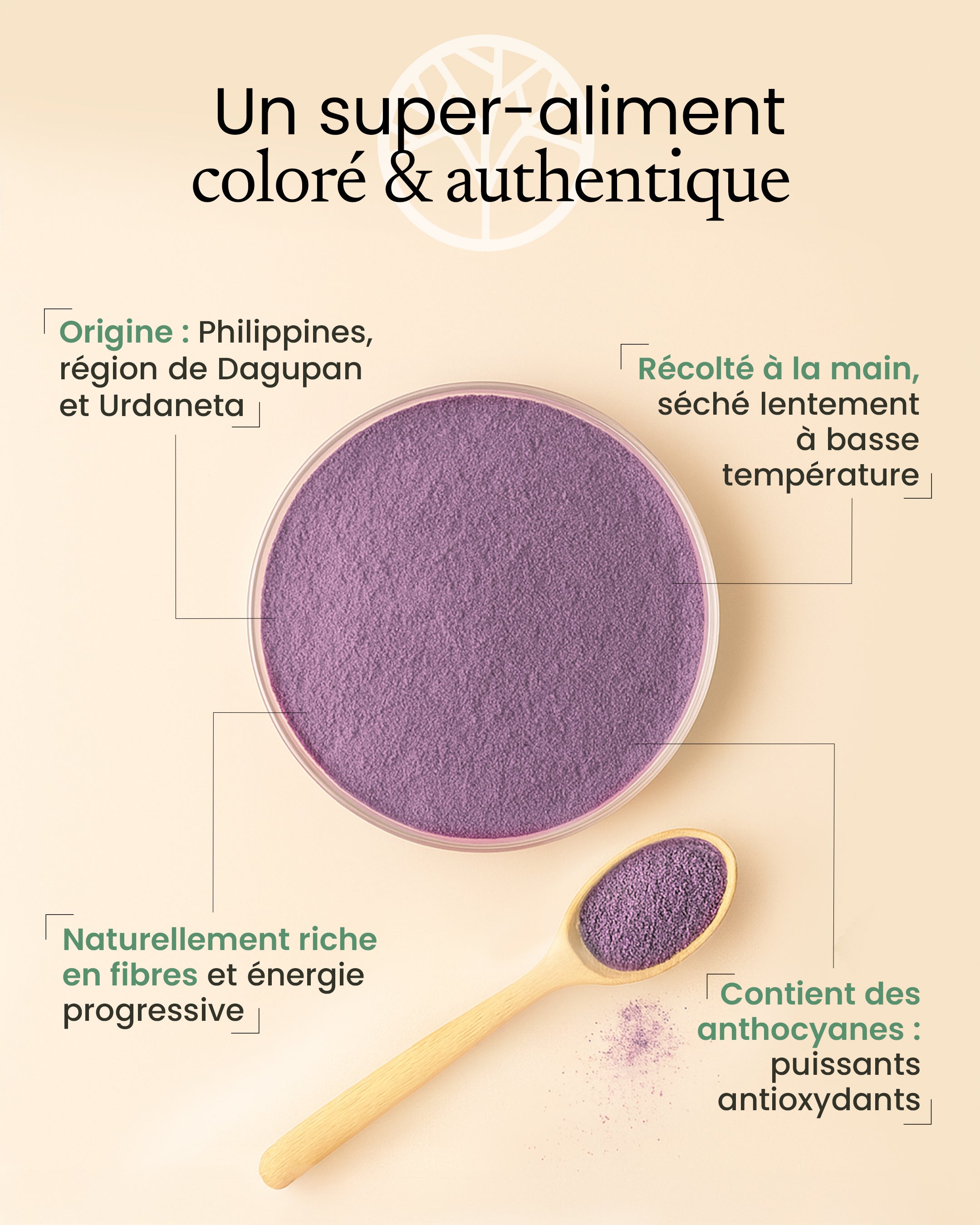 Ube