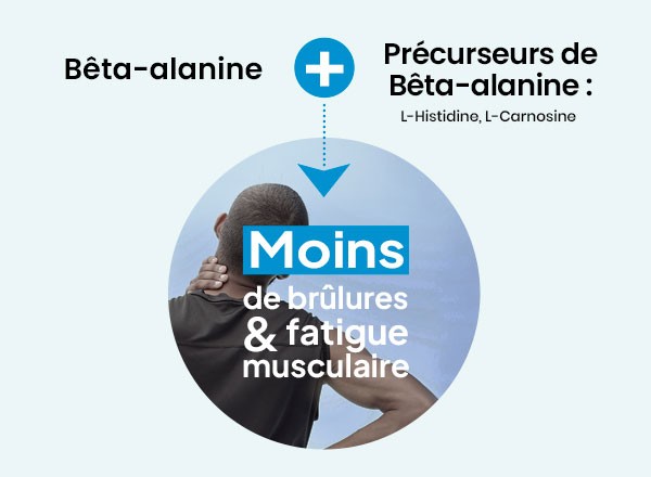 RETARDE LES BRÛLURES ET LA FATIGUE MUSCULAIRE