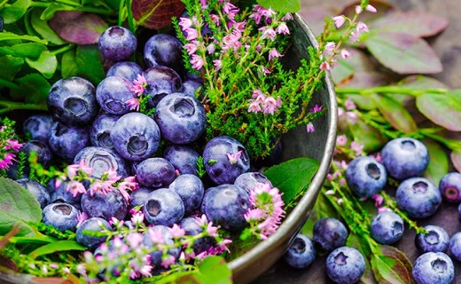Les aliments les plus riches en flavonoïdes | Toutelanutrition | Toute ...