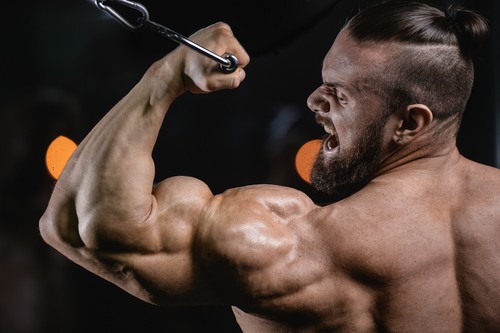 Se Muscler les Bras : Conseils et Exercices pour Raffermir Biceps