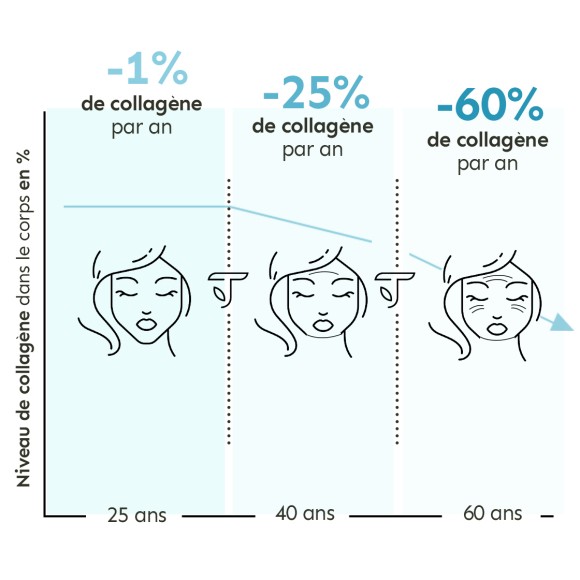 niveau de collagène dans le corps