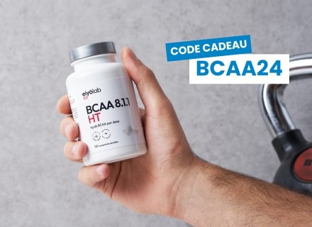 BCAA 8.1.1 HT