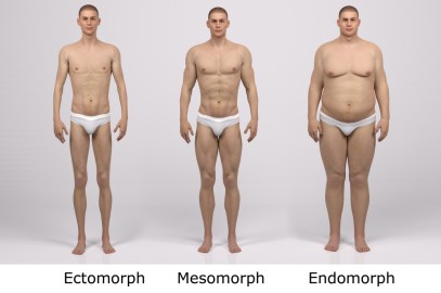 Comprendre votre métabolisme